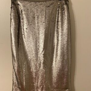 Banana Republic Silver Sequin Pencil Skirt